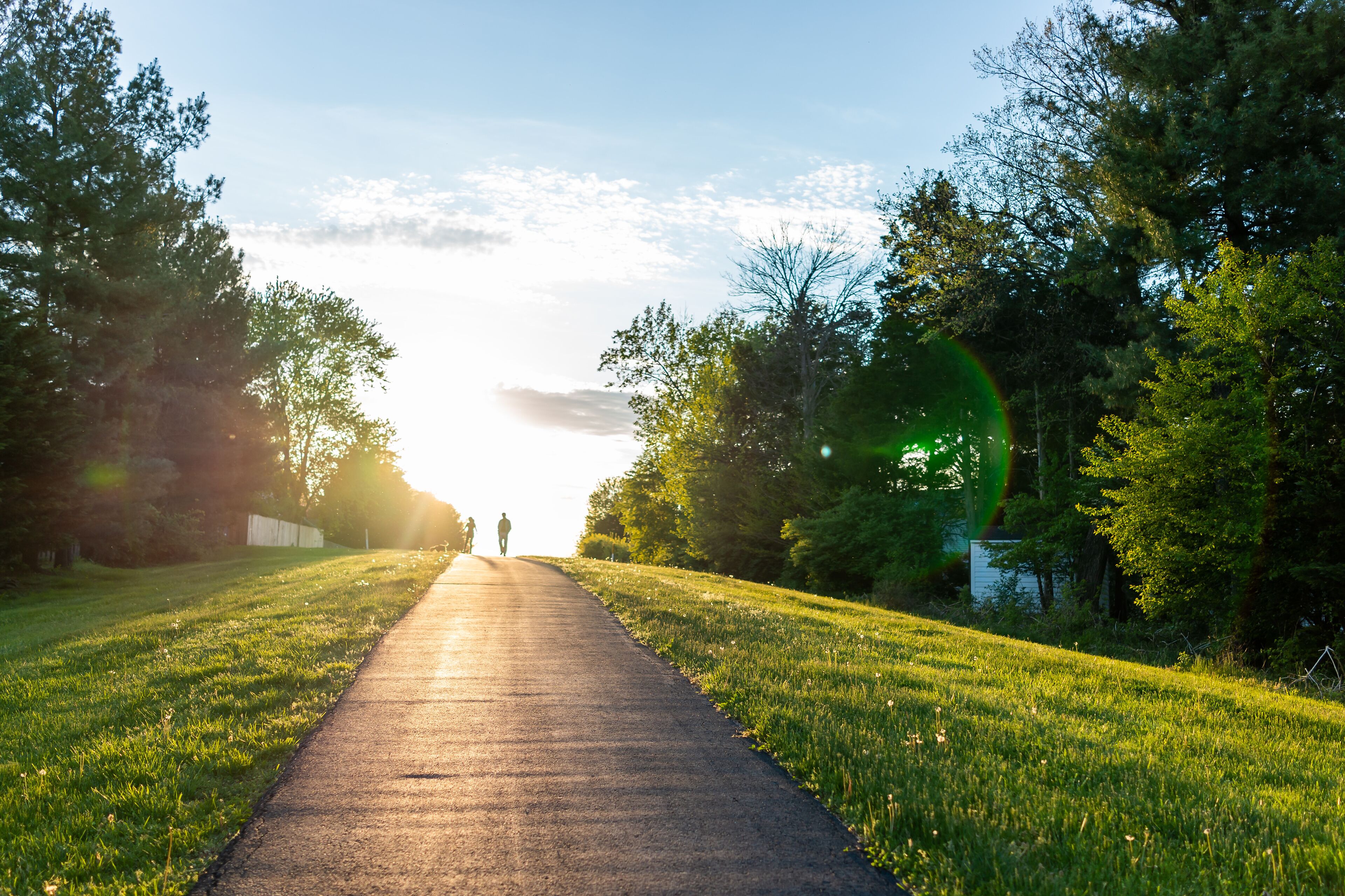 A pathway flanked by trees and grass, leading towards a bright horizon.