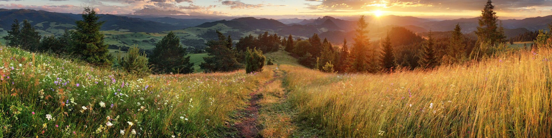 Beautiful summer panoramic landscape in mountains - Pieniny / Tatras, Slovakia