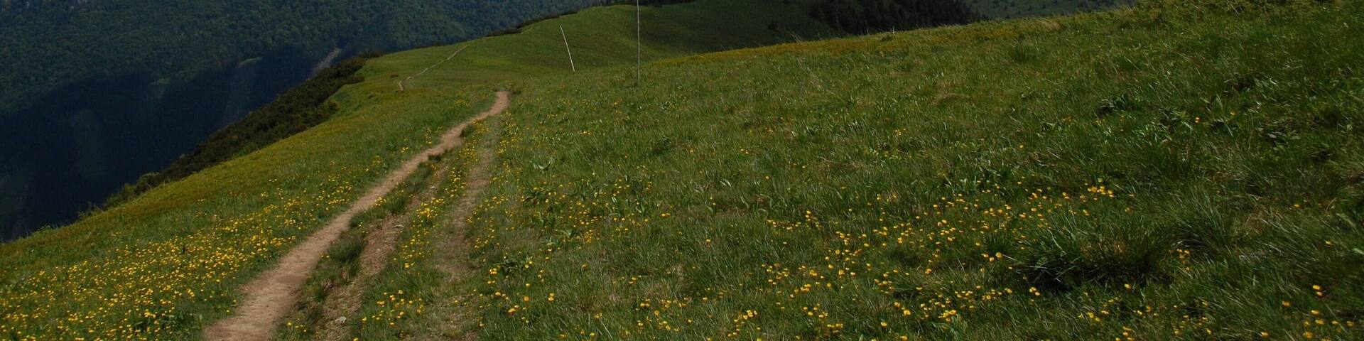 Hiking in Mala Fatra National Park. This is the view from Poludňový grúň (1460 m) to Veľký Rozsutec (1609 m) on left and Stoh (1608 m) on the right.
#hiking #nature #nationalpark #greatoutdoors