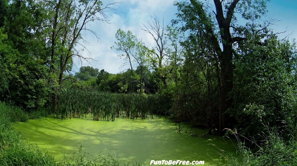 Nice #Bikeride on the East River Trail. Easy path & Many rest areas on the way. #Biking #Hiking #Adventure. Part of my North East #Wisconsin Photo album on FB