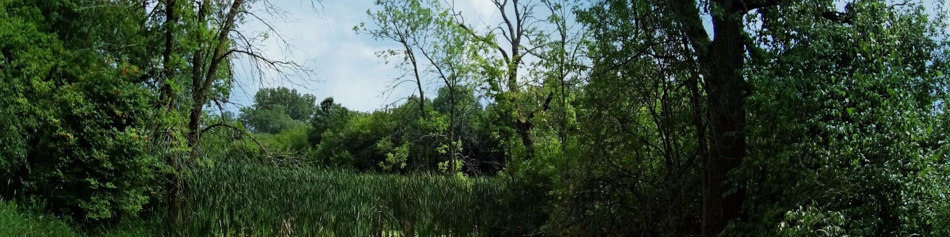 Nice #Bikeride on the East River Trail. Easy path & Many rest areas on the way. #Biking #Hiking #Adventure. Part of my North East #Wisconsin Photo album on FB