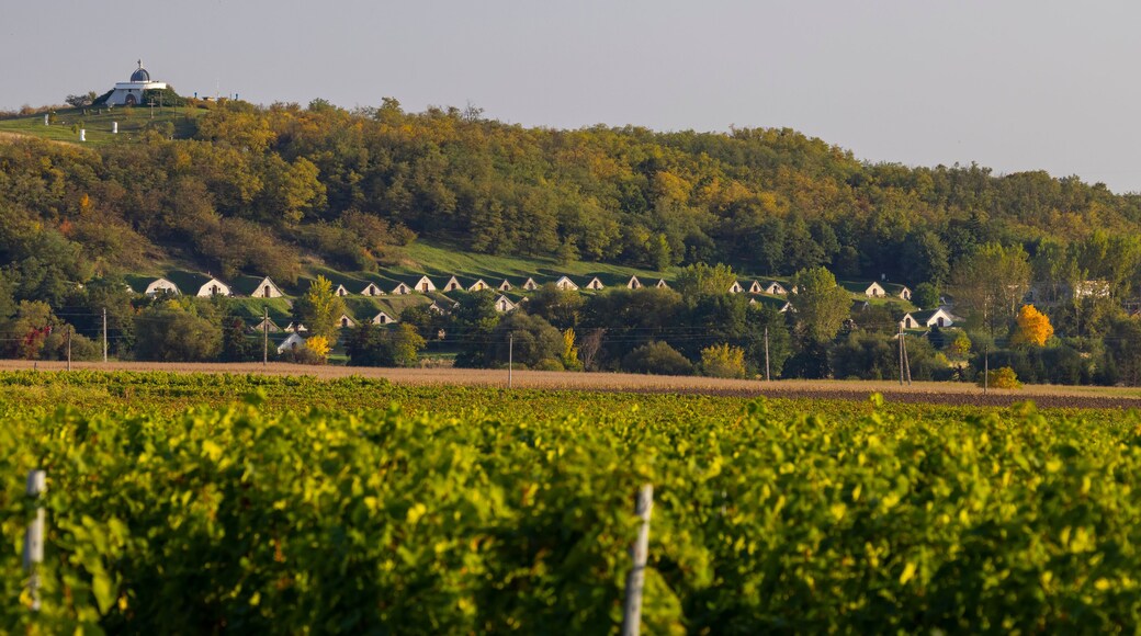 Gombos-hegyi pincesor in Hercegkut, UNESCO site, Great Plain, North Hungary