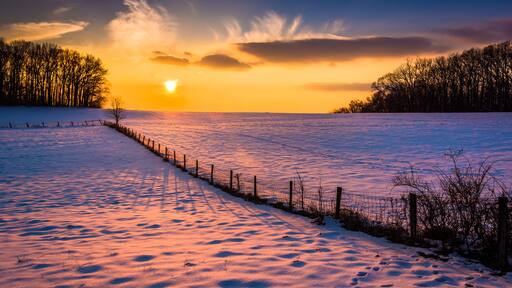 ์ค๋
ธ์ฐํ