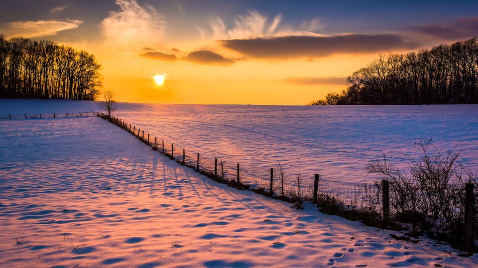 A snow-covered field with a fence and trees at sunset.