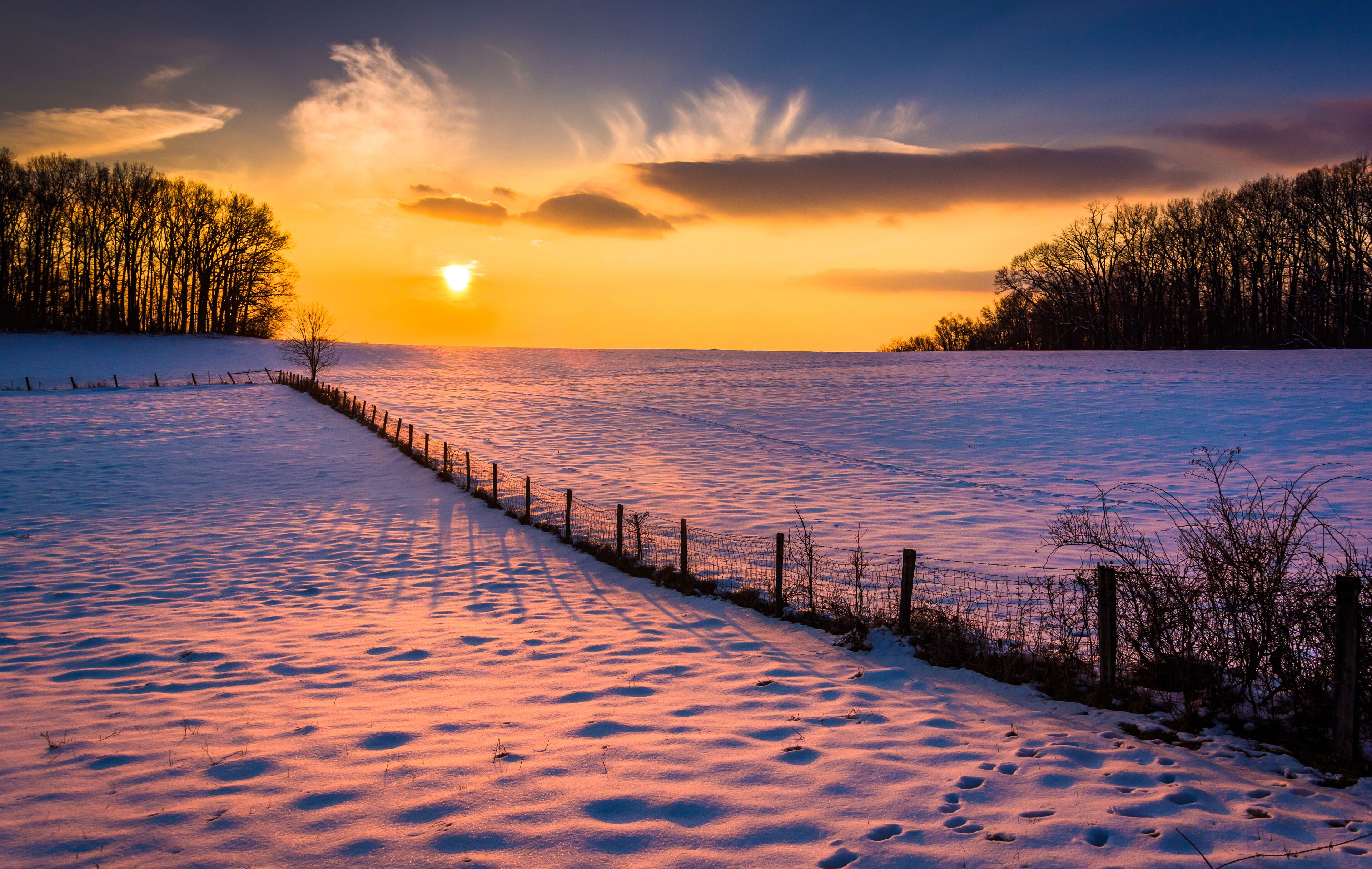 A snow-covered field with a fence and trees at sunset.