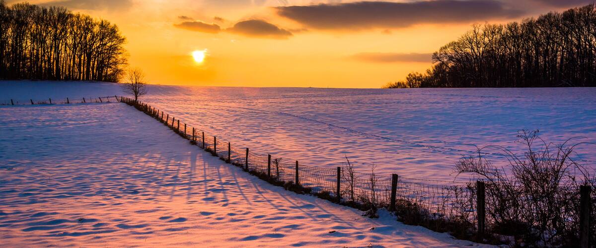 A snow-covered field with a fence and trees at sunset.