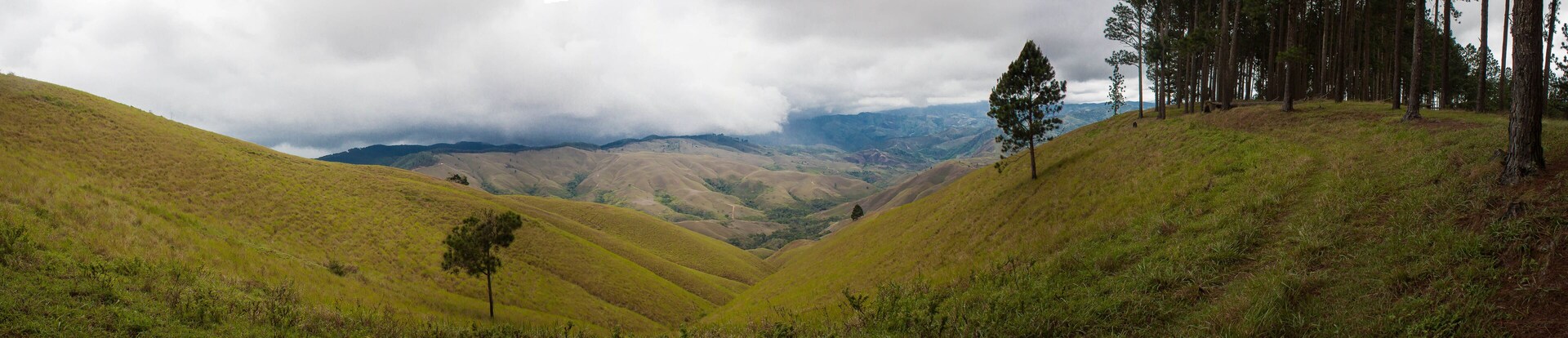 panoramic landscape hill mountain pines