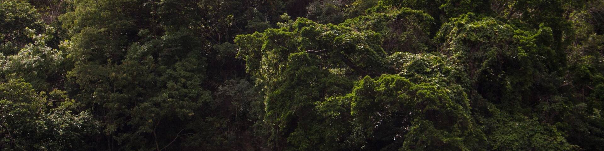 Abandoned chapel of our Lady of Lourdes located in a popular neighborhood in Caracas City.
