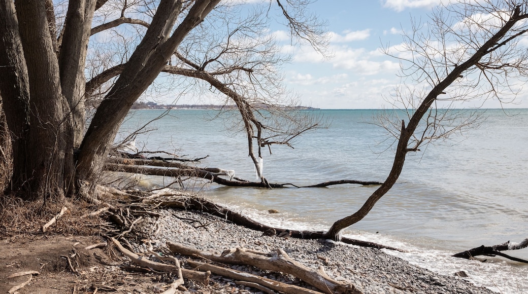 Stomy spring skies over Lake Ontario and bare trees at Lynde Shore waterfront trail in Whitby Ontario