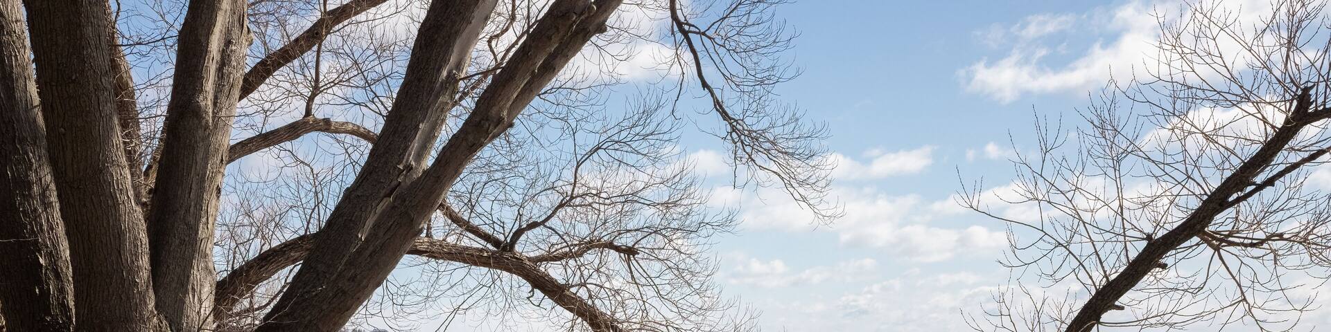 Stomy spring skies over Lake Ontario and bare trees at Lynde Shore waterfront trail in Whitby Ontario