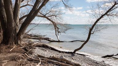 Stomy spring skies over Lake Ontario and bare trees at Lynde Shore waterfront trail in Whitby Ontario