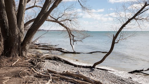 Stomy spring skies over Lake Ontario and bare trees at Lynde Shore waterfront trail in Whitby Ontario