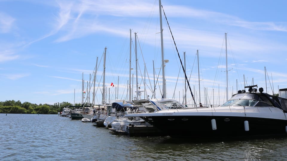 A marina with multiple sailboats docked.