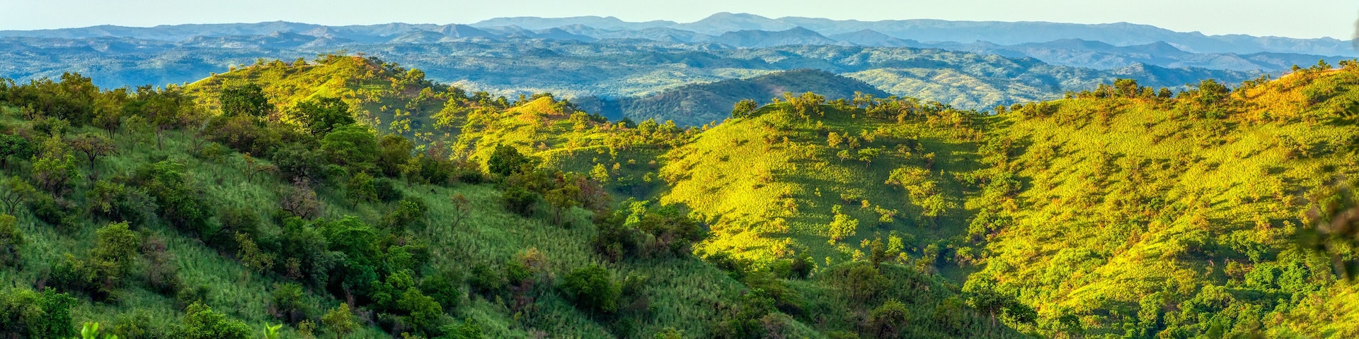 green panorama view To Mago National Park, Omo Valley, Omorati Etiopia, Africa nature and wilderness