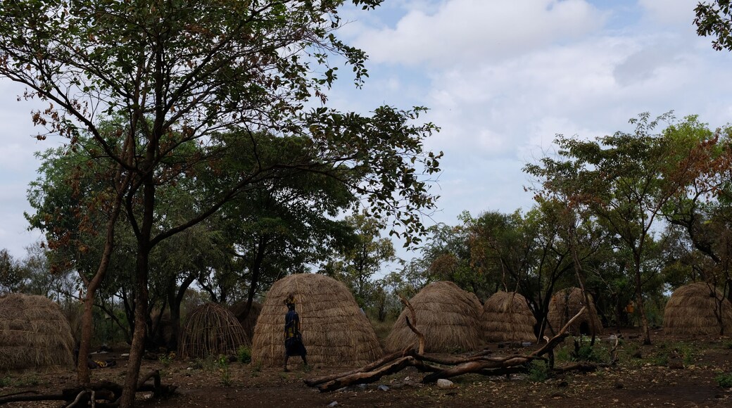 Topic for this challenge is architecture. Well, this is a different kind of architecture. These are the homes of the semi-nomad mursi tribe in Ethiopia. Just keep it simple. :)
#Trovember