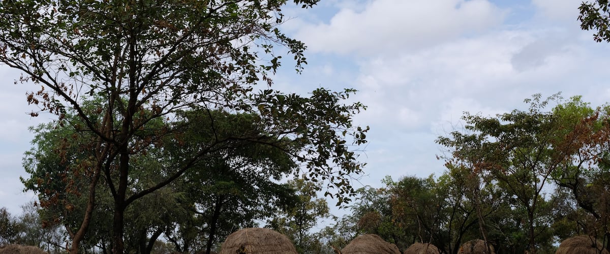 Topic for this challenge is architecture. Well, this is a different kind of architecture. These are the homes of the semi-nomad mursi tribe in Ethiopia. Just keep it simple. :)
#Trovember
