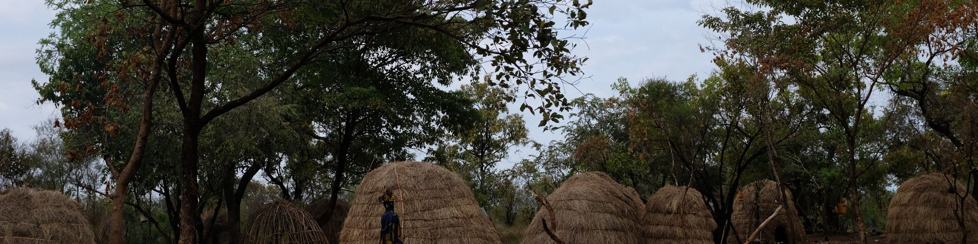 Topic for this challenge is architecture. Well, this is a different kind of architecture. These are the homes of the semi-nomad mursi tribe in Ethiopia. Just keep it simple. :)
#Trovember