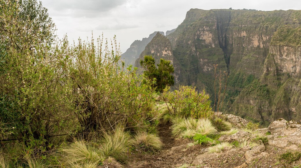 Jin Bahir Falls