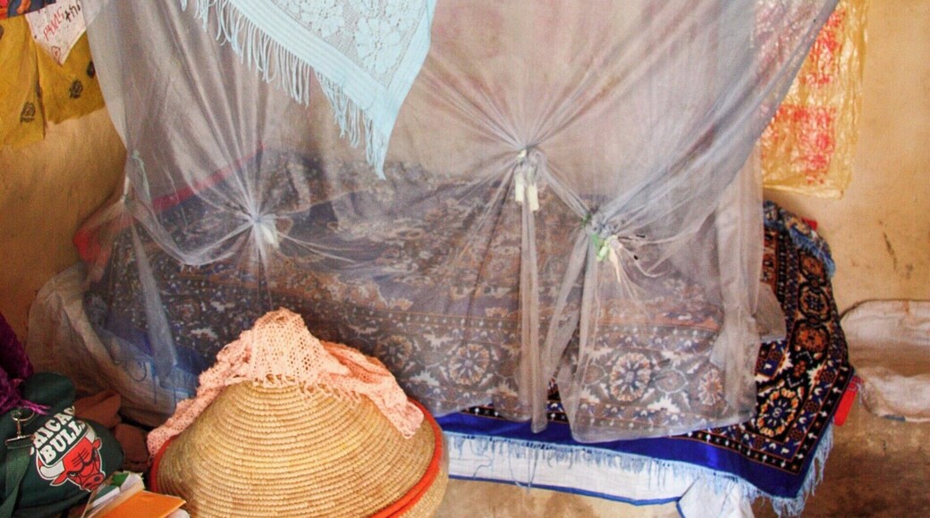 While staying in Aksum, Ethiopia, we took a day trip out to the small town of Yeha, which is home to the oldest structure in Ethiopia, The Temple of the Moon, built in 700 B.C.
While in town we visited a local family in there home. It was more of a small compound with single rooms opening up into a court yard.
This is one of the bedrooms.
#LIfeAtExpedia #AmongTheLocals