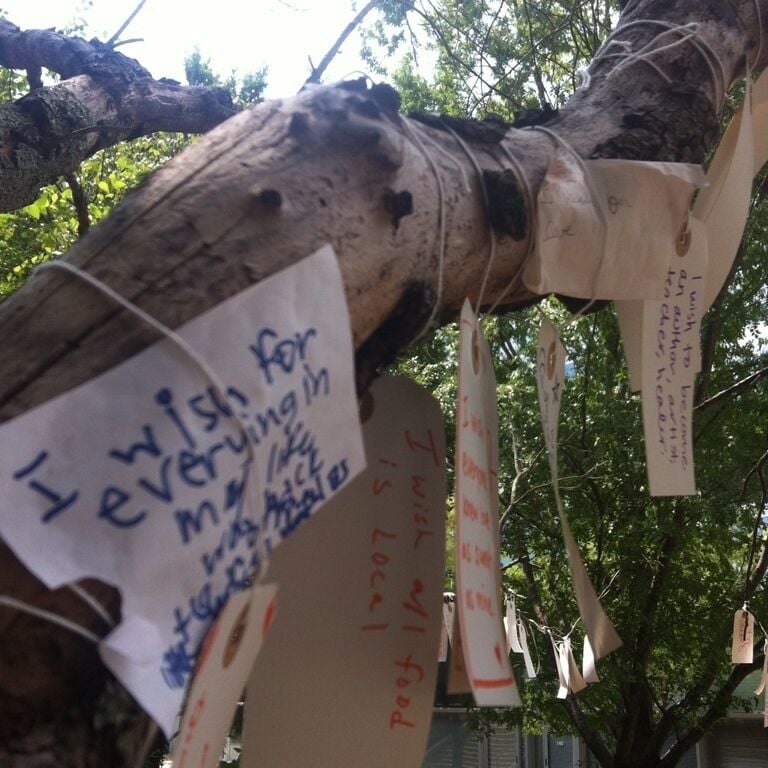 The wishing tree
