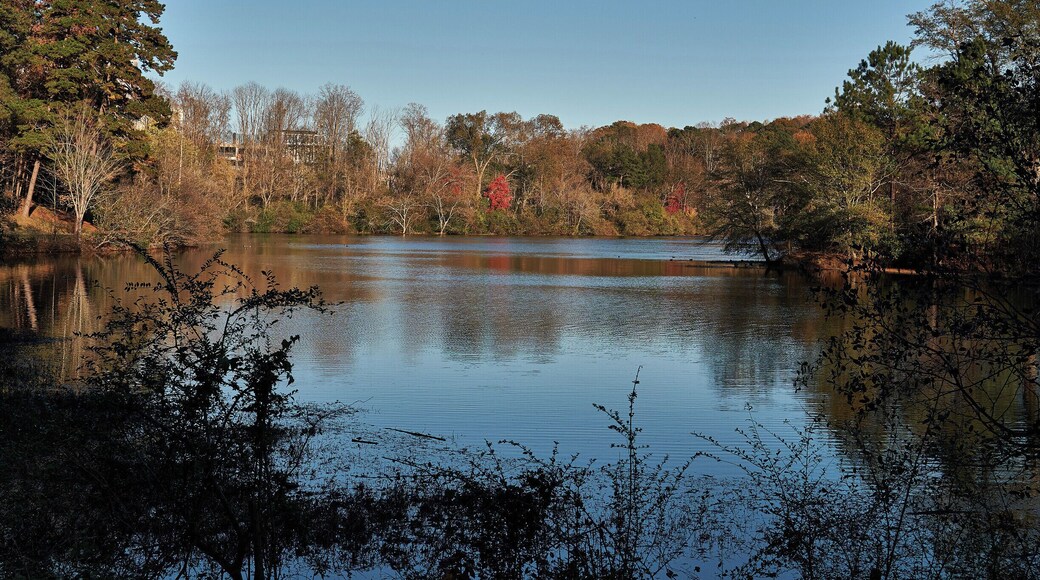 Looking across Candler Lake at Lullwater Park which is a pleasant area to walk around and which is adjacent to Emory University, Atlanta. The picture is looking East and there's a hint of the VA hospital just behind the tree at the left hand side of the picture. The lake is also a habitat for wildlife including migrating birds and apparently there are fish to be caught as well.