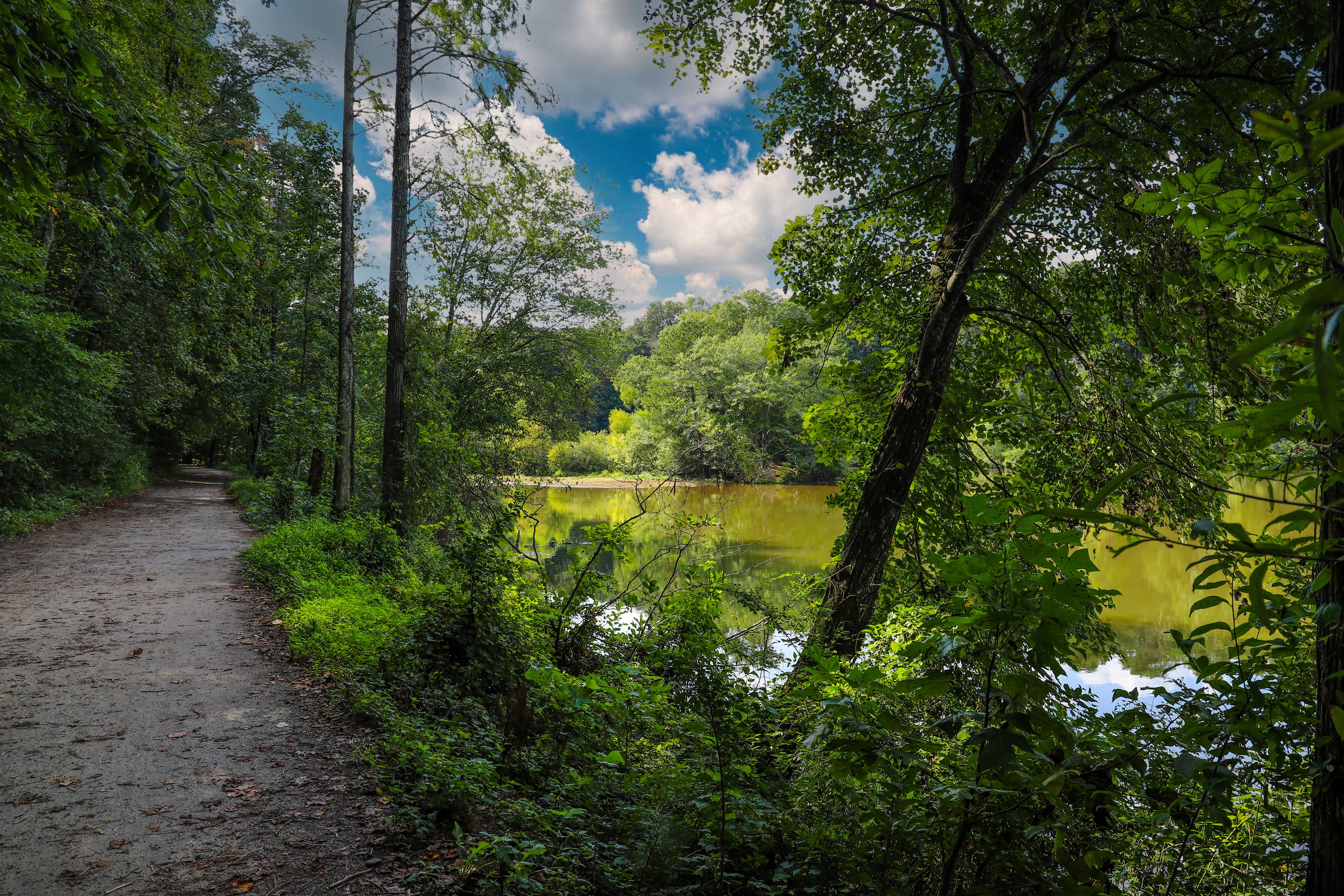 a smooth winding footpath through the forest near Candler Lake surrounded by lush green trees reflecting off the water with blue sky and clouds at Lullwater Preserve in Decatur Georgia