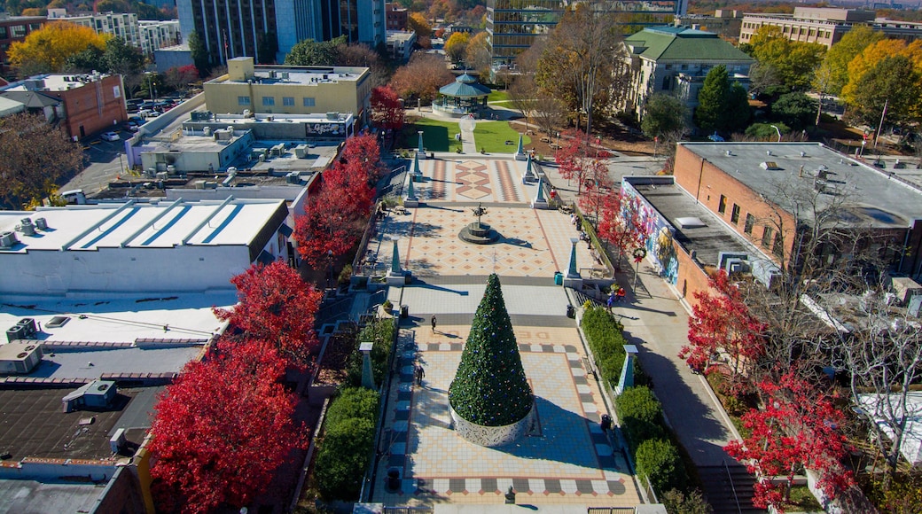 an aerial shot of the Decatur Square with a Christmas tree, red and yellow autumn trees, lush green trees, people and buildings with powerful clouds at sunset in Decatur Georgia USA