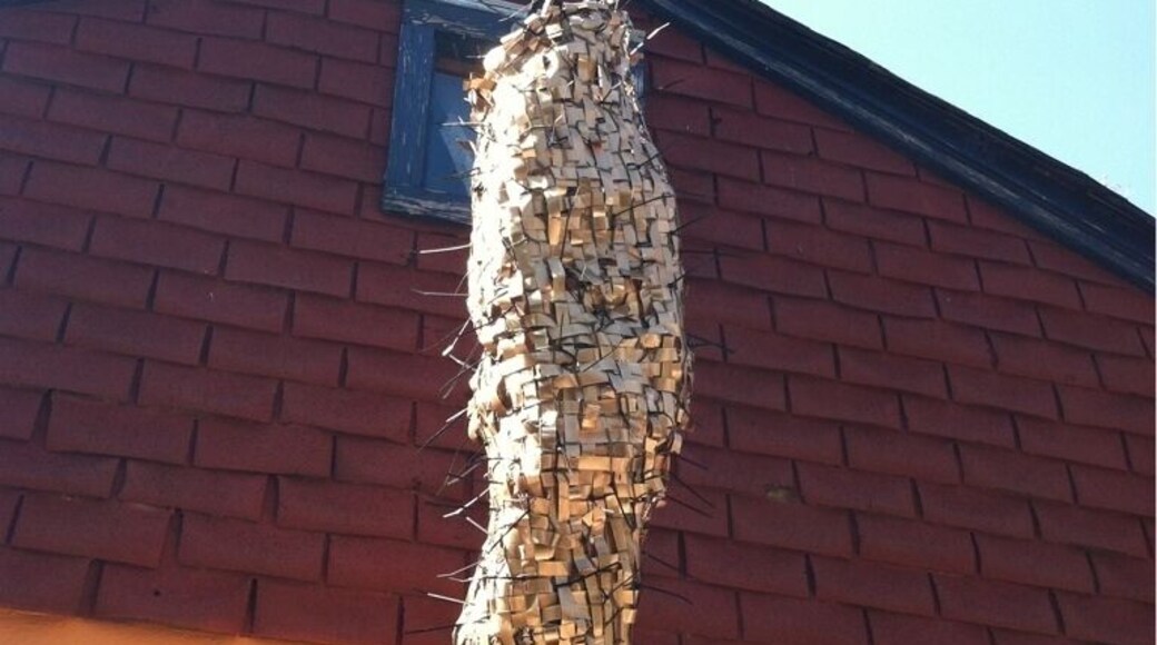 Howard Wurtzel #highwithoutwalls