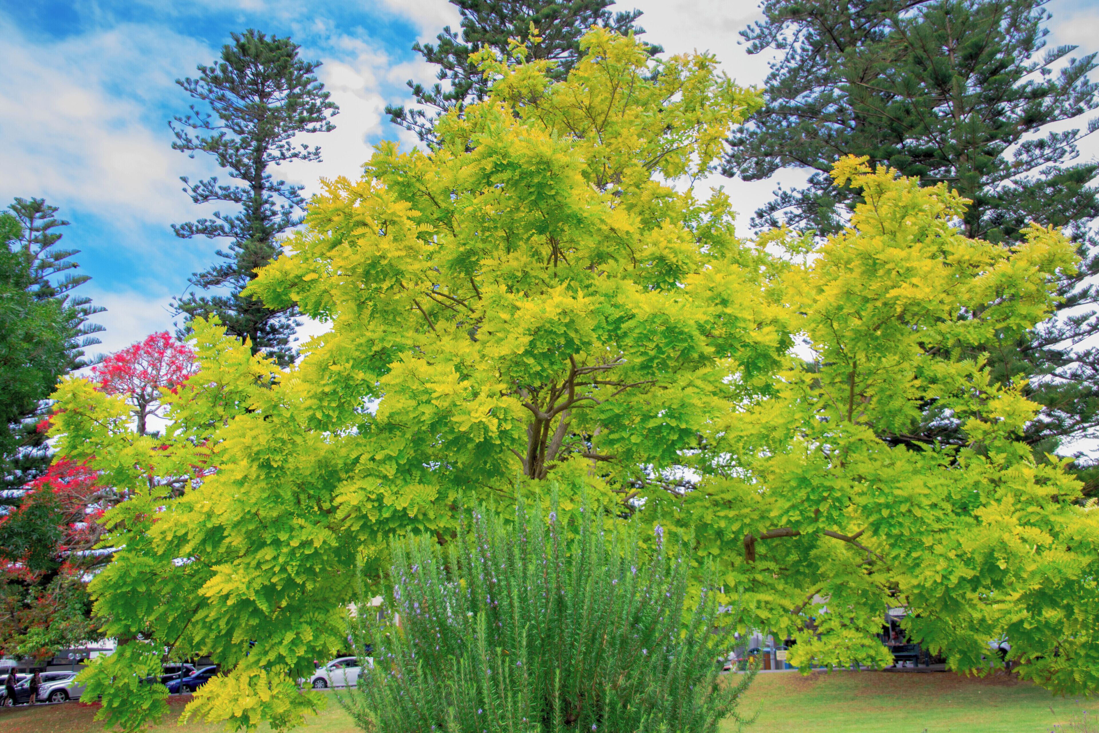 A must see on the NSW South Coast