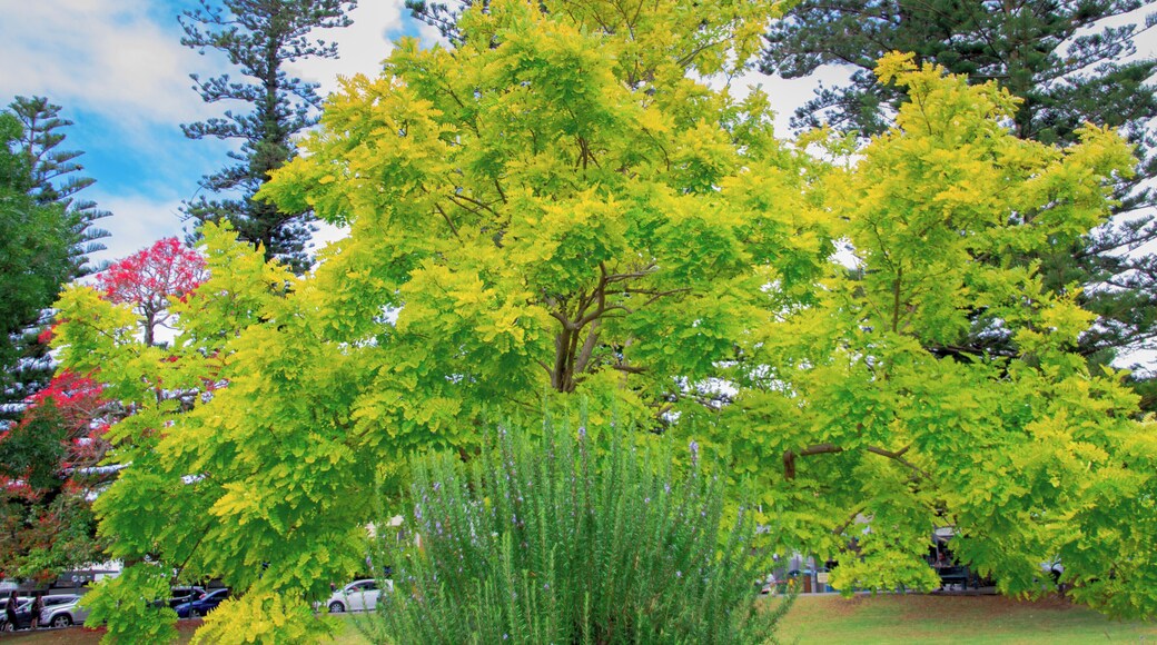 A must see on the NSW South Coast