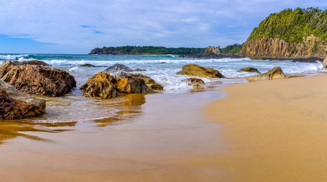 Kiama