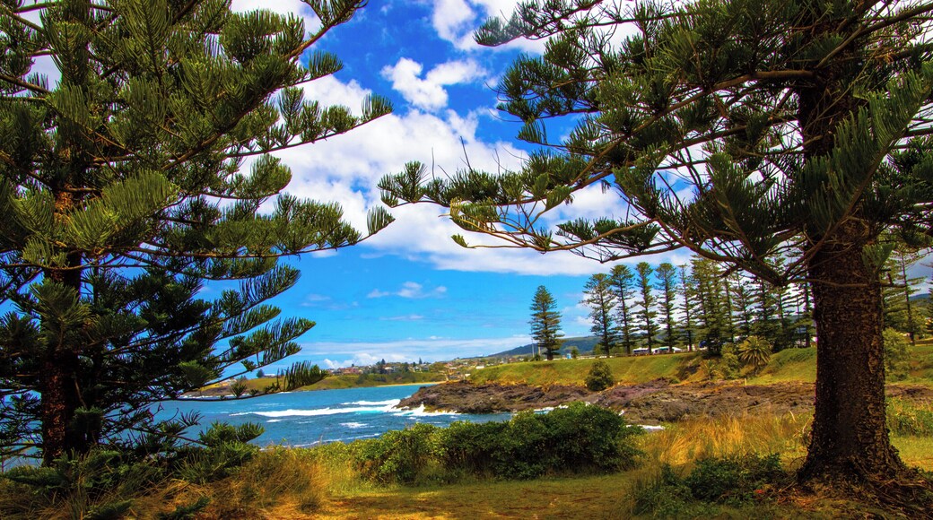 A must see on the NSW South Coast