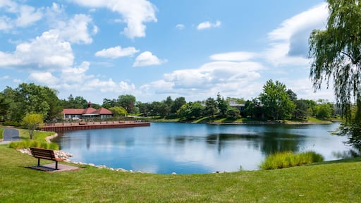 Deerfield