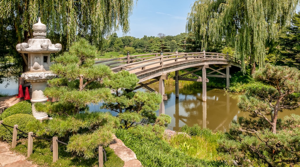 Japanese Island Bridge in Chicago Botanic Garden, Glencoe, USA