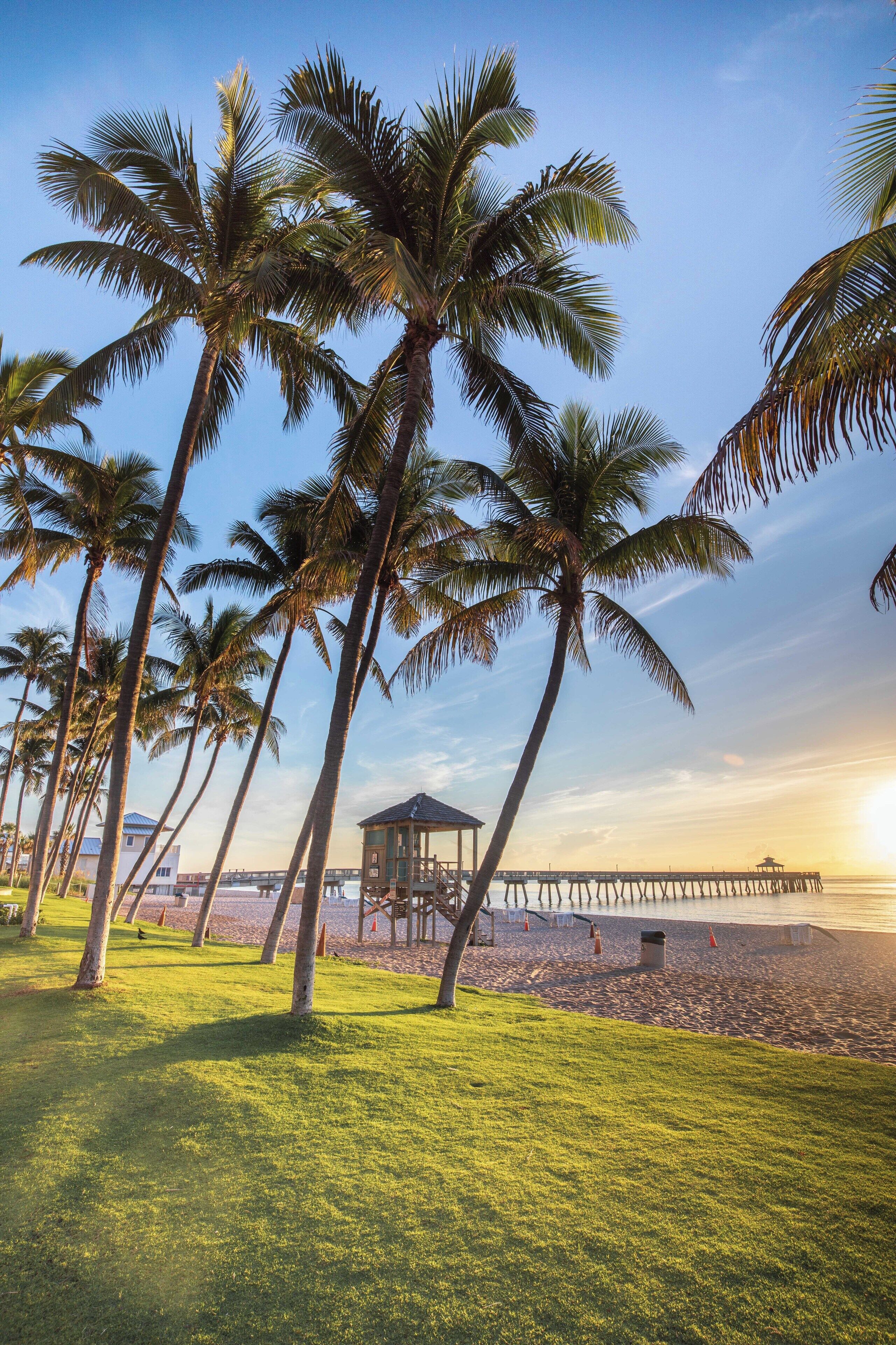 Beautiful beach! Very busy during the daytime. Quiet and peaceful in the morning.   