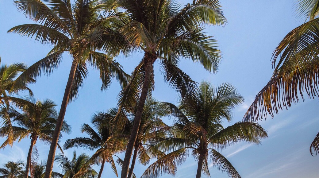 Beautiful beach! Very busy during the daytime. Quiet and peaceful in the morning.
