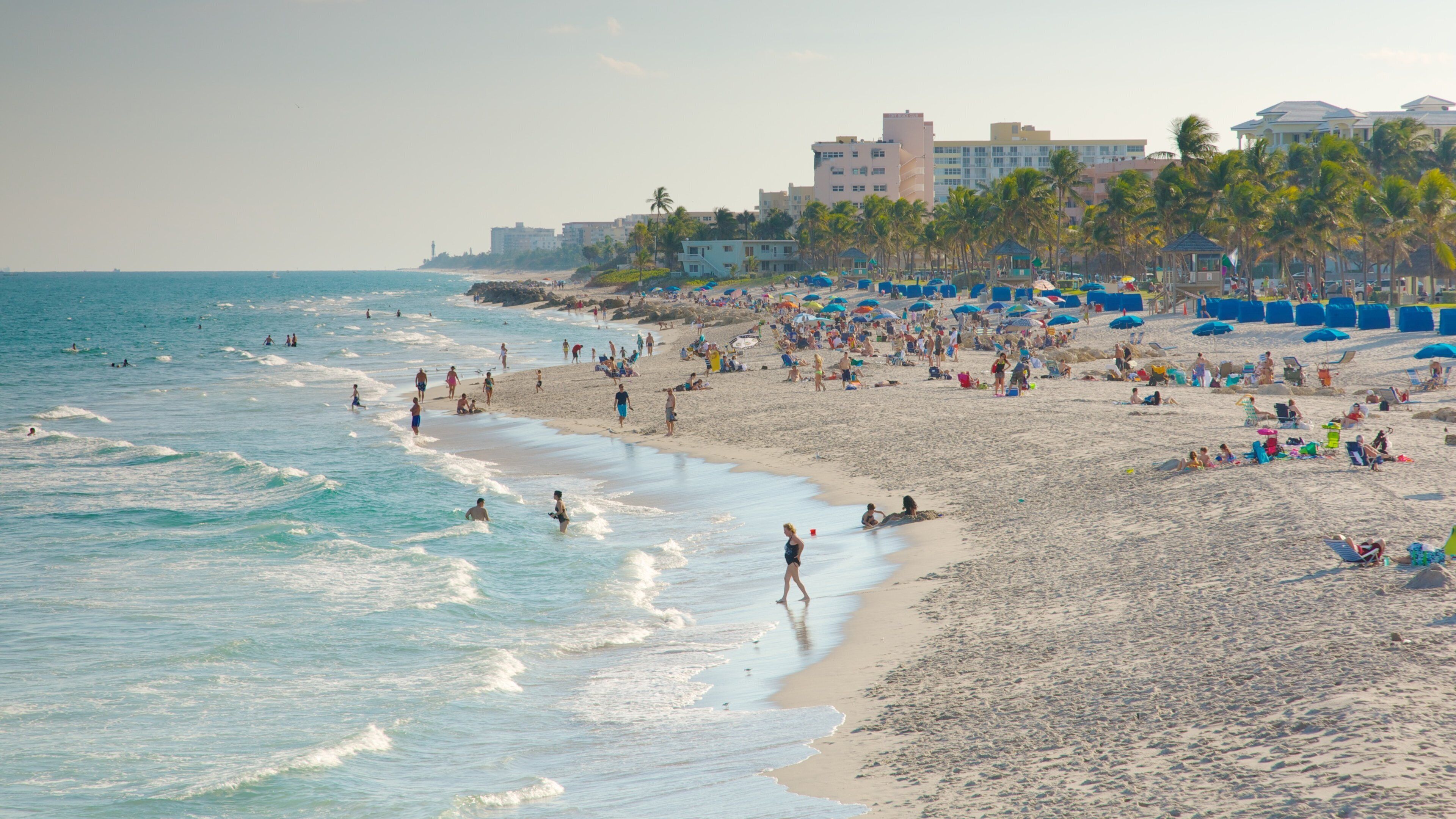A crowded beach with people sunbathing and swimming, palm trees, and buildings in the background.