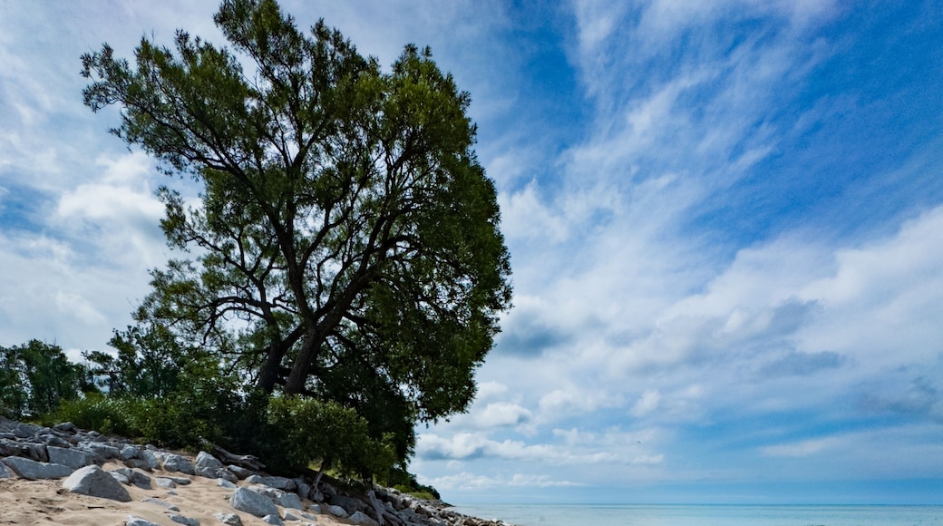 Scene along the public lakeshore of Duck Lake near Whitehall, Michigan
