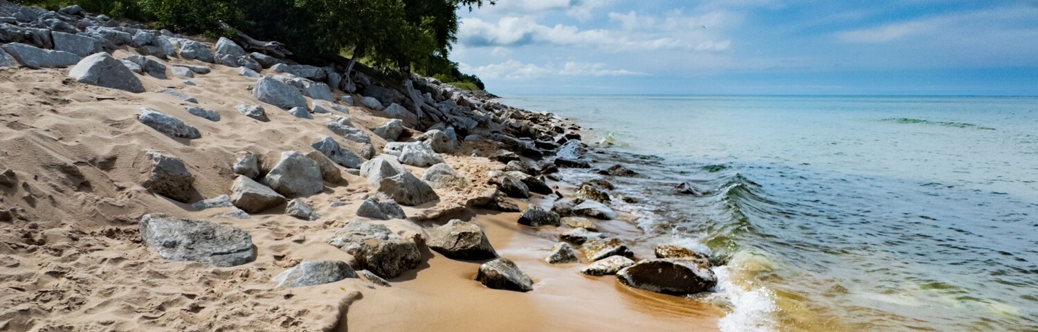 Una playa arenosa con rocas dispersas y un gran árbol.