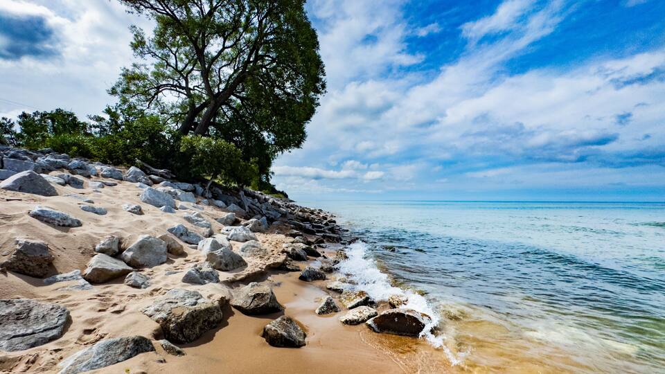 A rocky beach with clear blue water and a tree.