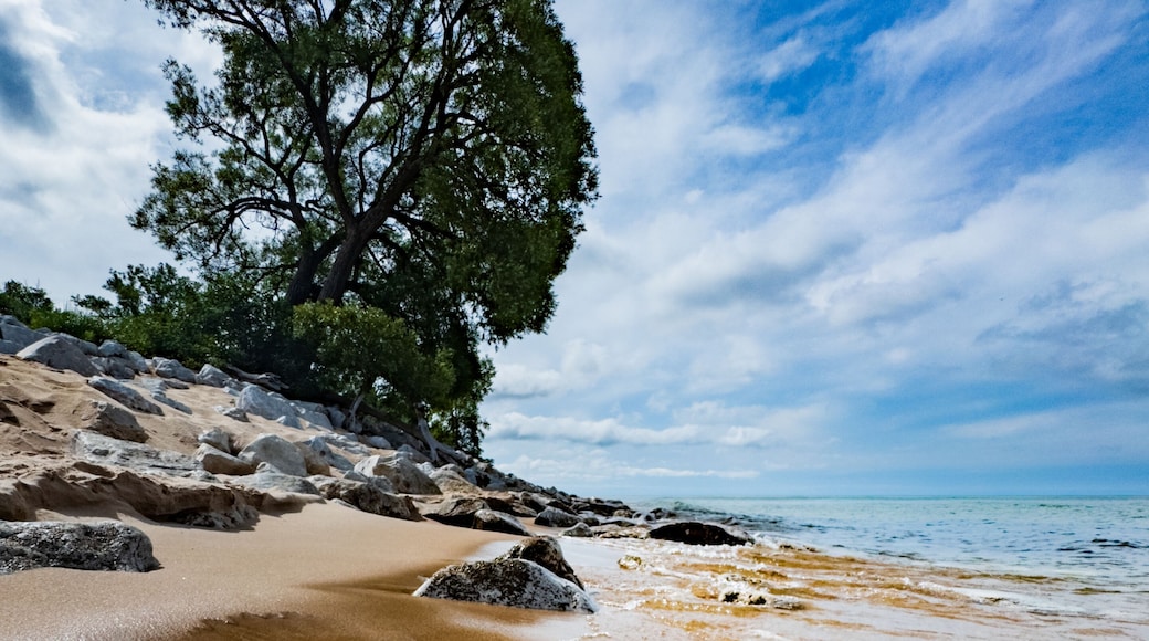 Scene along the public lakeshore of Duck Lake near Whitehall, Michigan