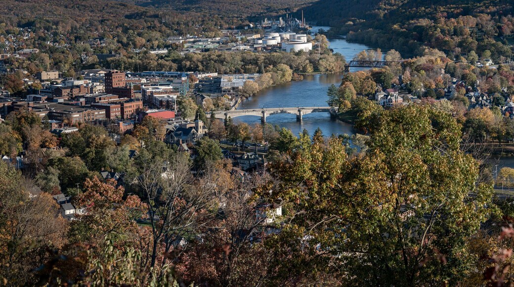 Warren PA from Washington Park view