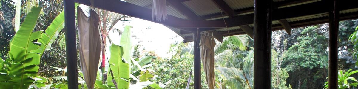 The most magical place we've ever stayed, with very gracious hosts, exceptional food, and the experience of sleeping in a (very well-appointed) jungle tree house!