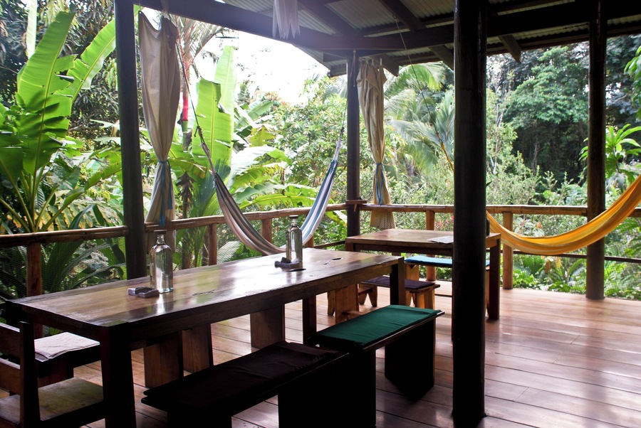 The most magical place we've ever stayed, with very gracious hosts, exceptional food, and the experience of sleeping in a (very well-appointed) jungle tree house!