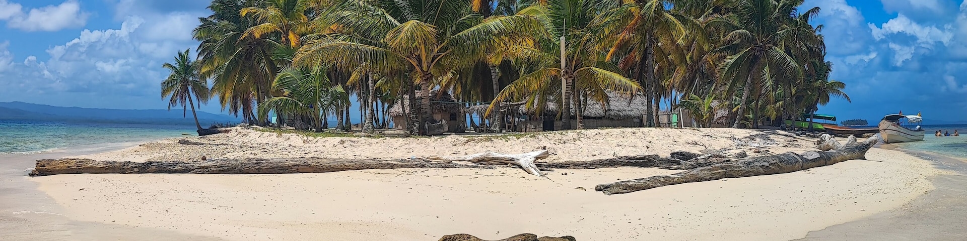 A sandy beach with palm trees and a large log.