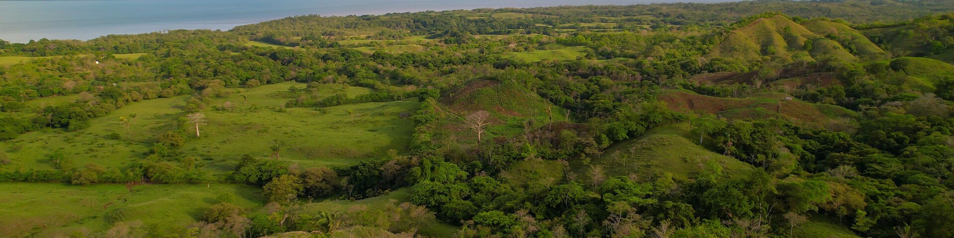 AERIAL: Exotic countryside with vast logged areas for agricultural purposes