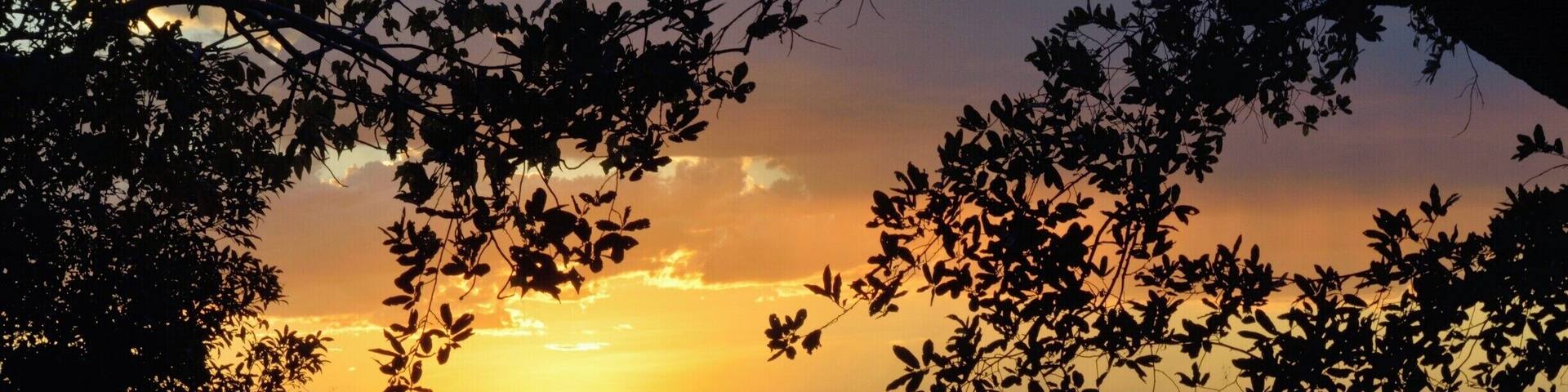 #GoldenHour Sunset on the Zambezi River