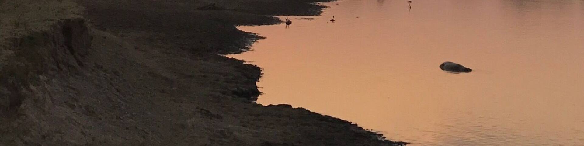 Sundowner after the game drive.