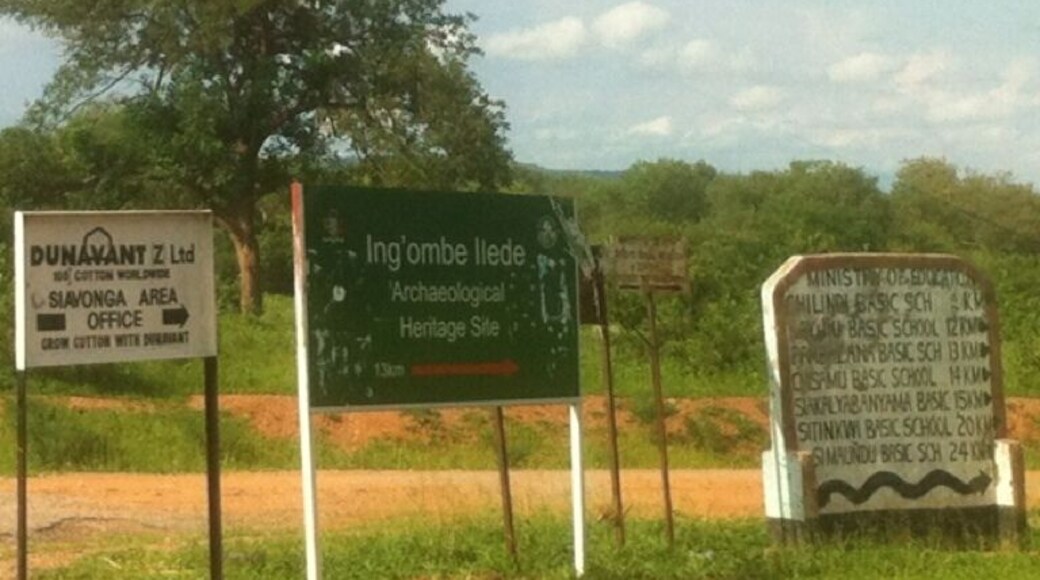 A signpost with directions to Ingombe Iledi Archaeological Heritage Site and a Dunavant Z Ltd sign.