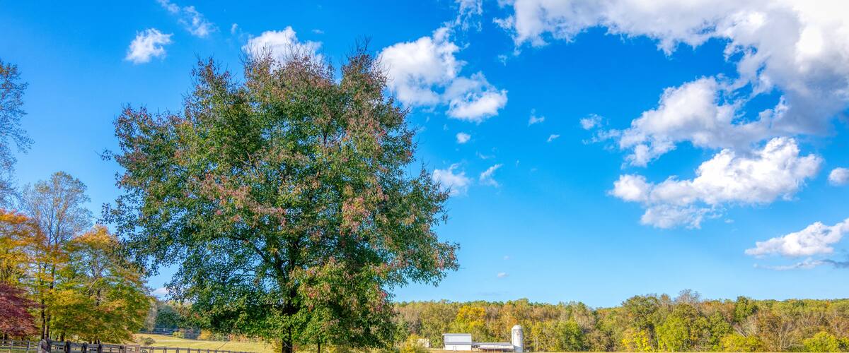 Fence and tree next to a pond with a farm with a barn and silo in the background